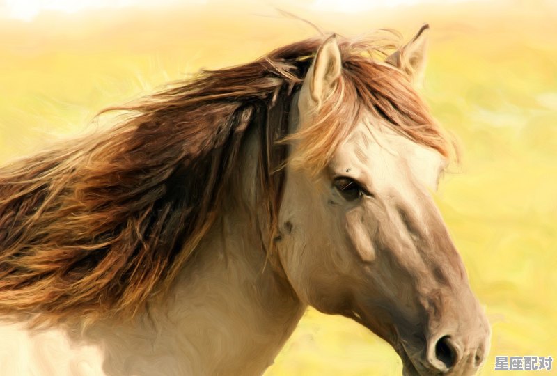 阳历12月23是什么星座_2020年12月23日出生的宝宝是啥星座 阳历12月23是什么星座_2020年12月23日出生的宝宝是啥星座 - 星座运势