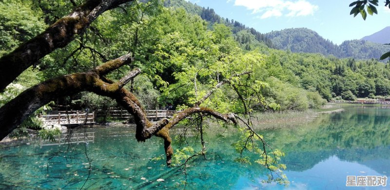 属龙的几月出生最好：二月、三月、四月 - 星座运势