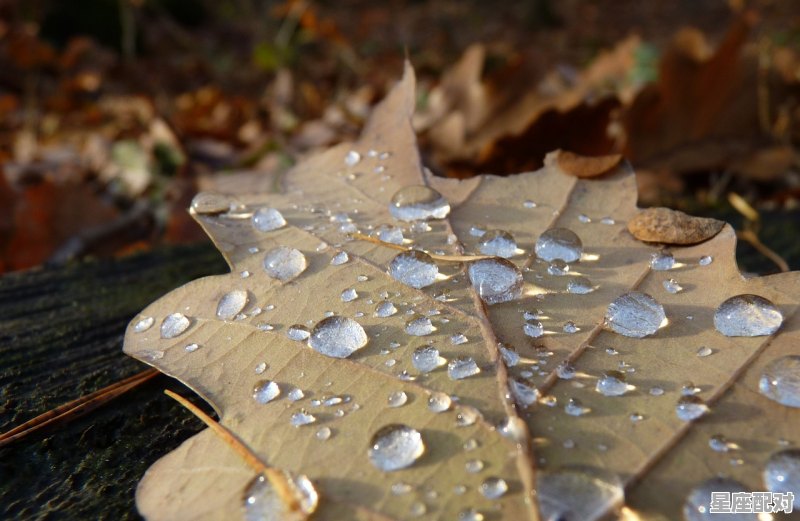 天干与五行 天干与五行 - 星座运势