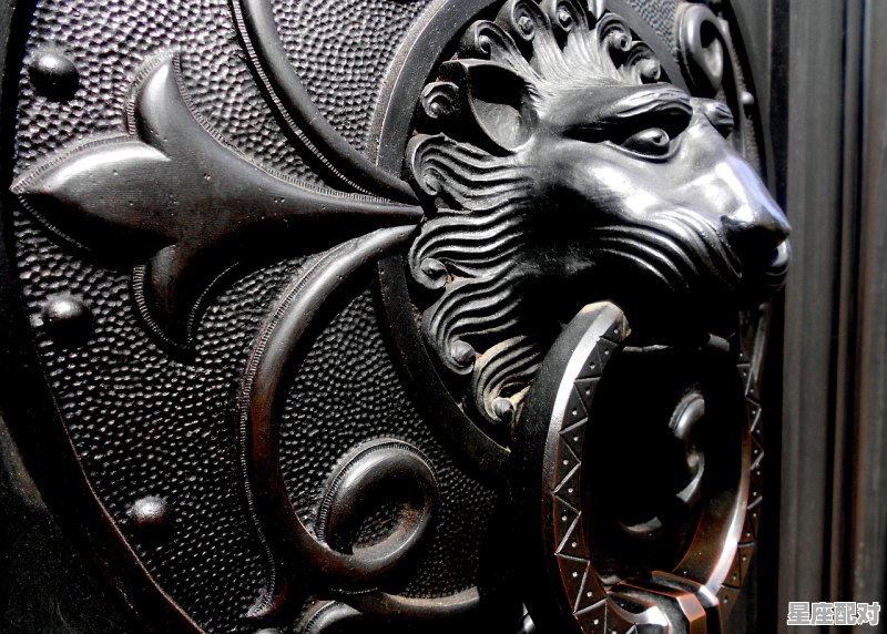 狮子座图片大全【专辑32】 狮子座图片大全【专辑32】 - 星座运势