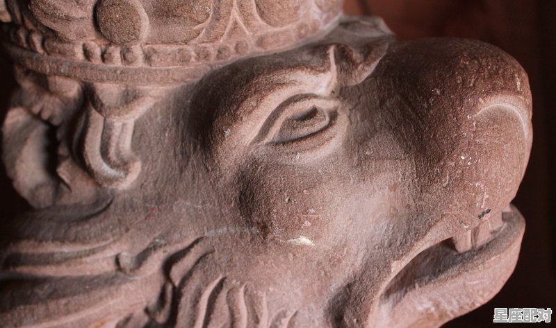 狮子座图片大全【专辑40】 狮子座图片大全【专辑40】 - 星座运势