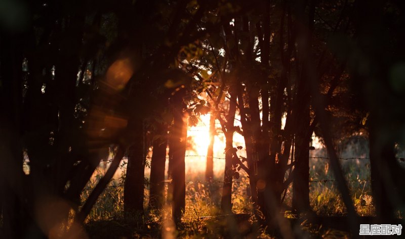 处女座图片大全【专辑36】 处女座图片大全【专辑36】 - 星座运势