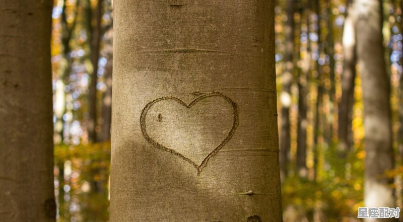 己土日主生于亥月如何取用神? 己土日主生于亥月如何取用神? - 星座运势