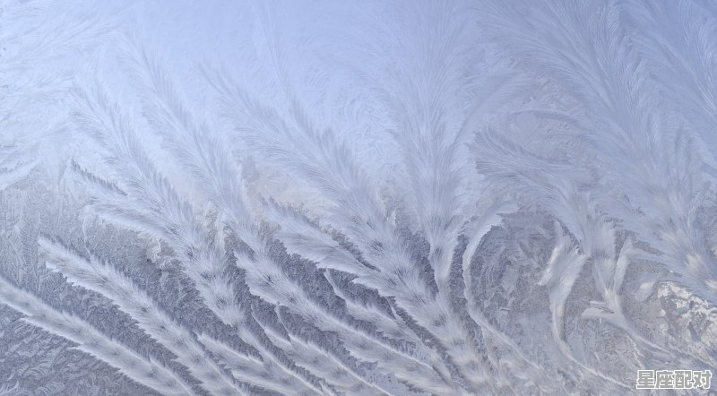 水瓶座生肖分析，12种水瓶座, - 星座运势