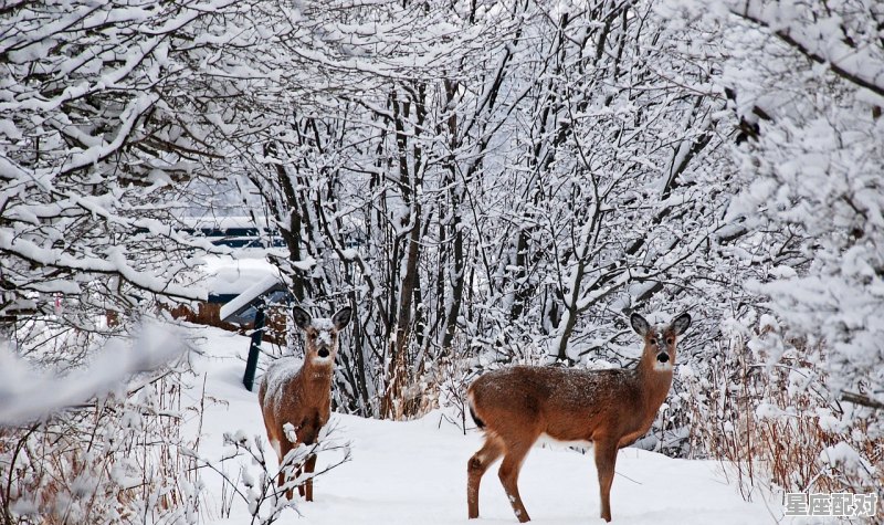 属蛇者适合的楼层 属蛇者适合的楼层 - 星座运势