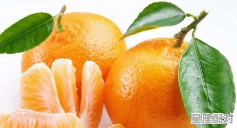 广西家乡的习俗_广西壮族的风俗习惯 广西家乡的习俗_广西壮族的风俗习惯 - 星座运势