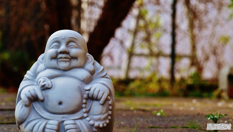 星座配对表数值怎么看〈十二星座配对姻缘合婚指数是多少〉 - 星座运势