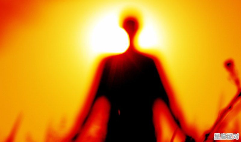 看看你的生日查查你属于哪棵树? - 星座运势