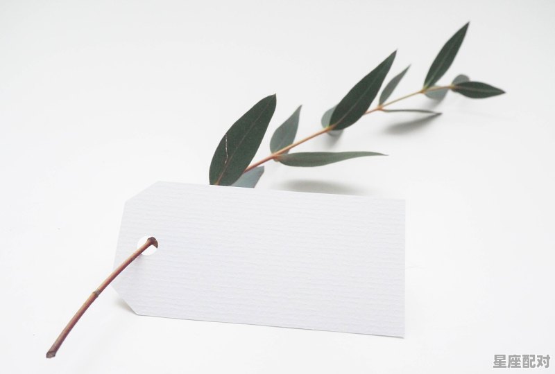 白羊座最配哪星座 白羊座最配哪星座 - 星座运势