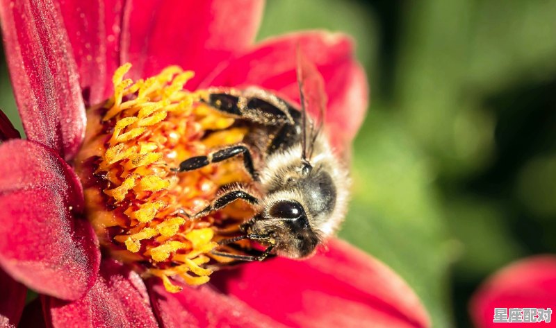 阴历3月初三生的是什么星座_农历三月三是什么星座 - 星座运势