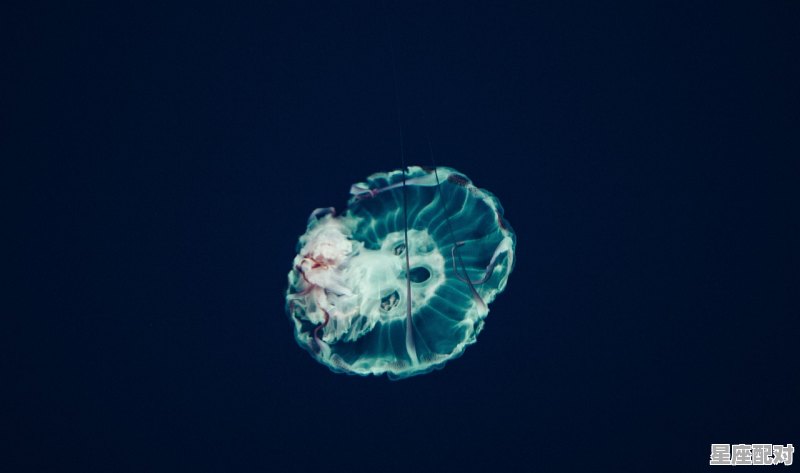 巨蟹座2022年9月24号穿么颜色的衣服,属虎天秤座今日运势 - 星座运势