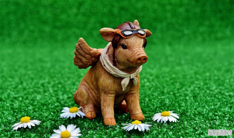 95年的2021属什么，属猪今日运势2021 - 星座运势