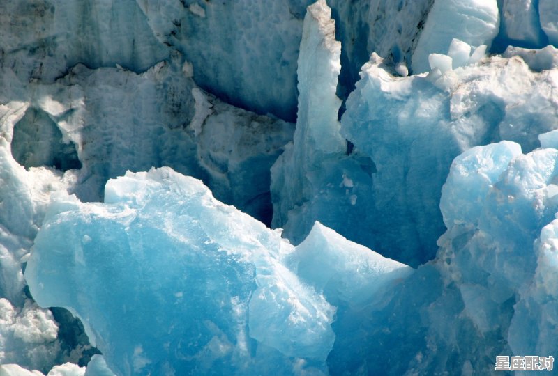狮子座男生和什么星座比较配，星座配对情侣值多少钱啊男生 - 星座运势