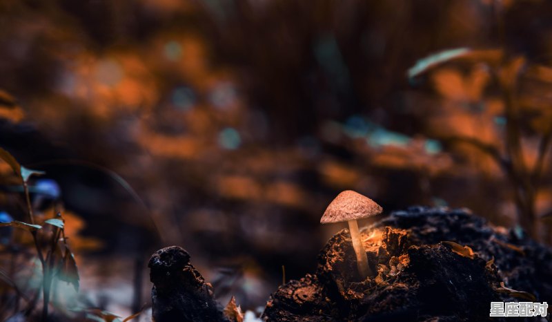 天蝎座有什么性格和天赋,天蝎座的性格，优点和缺点 - 星座运势