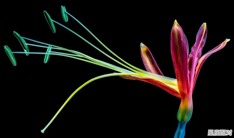 3月分别是什么星座，3月是什么星座 - 星座运势