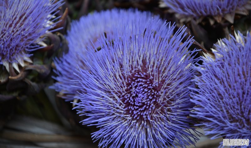 巨蟹座男生有什么样的性格,巨蟹座性格 巨蟹座男生有什么样的性格,巨蟹座性格 - 星座运势