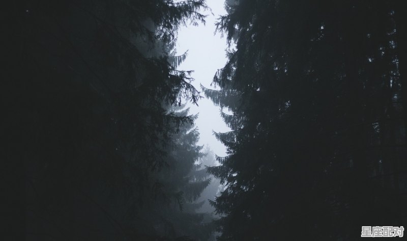 天枰座是什么星宿;天舒什么星座 天枰座是什么星宿;天舒什么星座 - 星座运势