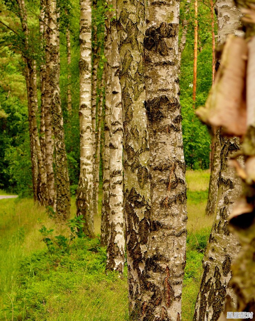 53年女属蛇的最终寿命,53岁的女人还会出轨吗 53年女属蛇的最终寿命,53岁的女人还会出轨吗 - 星座运势