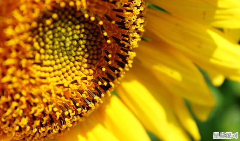 为什么有的人做梦的时候能清晰的感觉到这是梦，大脑很清醒，做梦梦到做梦 - 星座运势