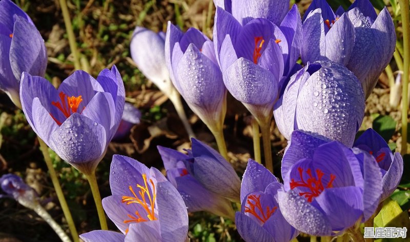 10月6日是什么星座女生;10月6日是什么星座 10月6日是什么星座女生;10月6日是什么星座 - 星座运势