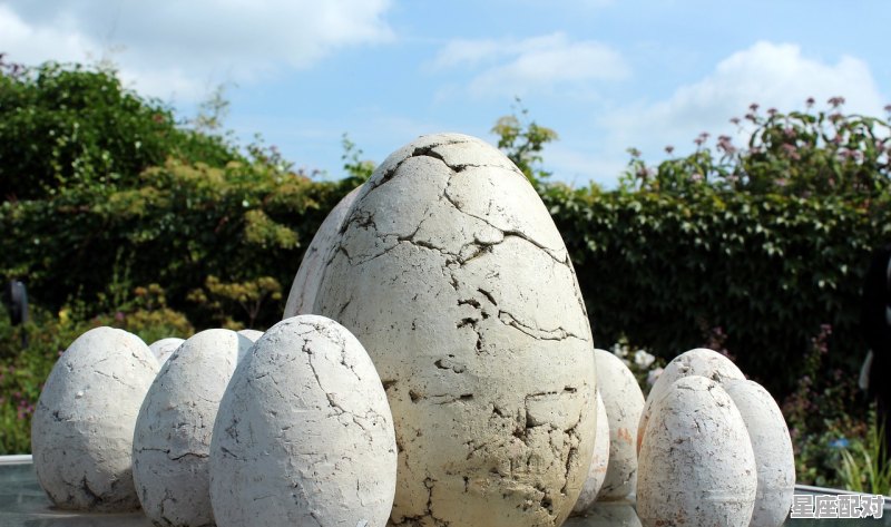 做梦梦到别人死了是什么征兆;做梦梦到别人  - 星座运势