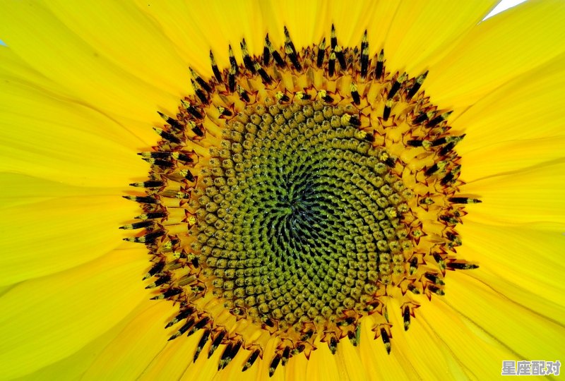 5月29号是什么星座,2千年5月29日是什么星座 5月29号是什么星座,2千年5月29日是什么星座 - 星座运势