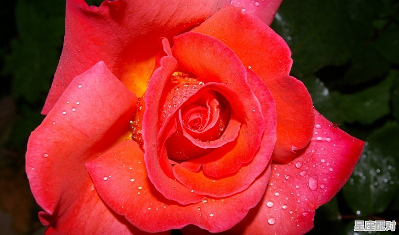 巨蟹座的女人性格特征,巨蟹座女性格 巨蟹座的女人性格特征,巨蟹座女性格 - 星座运势