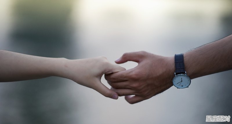 金牛座和天秤座适合做夫妻吗,为什么金牛座和天秤座最般配 - 星座运势