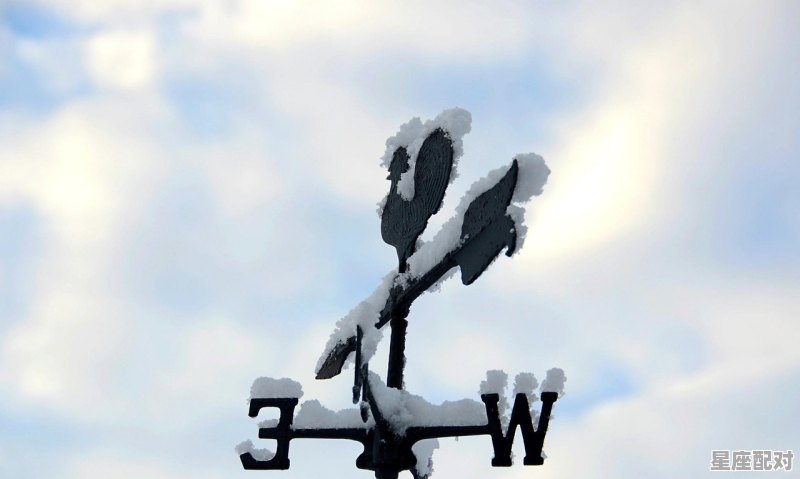 背道而行的意思，南辕北辙是什么生肖 - 星座运势