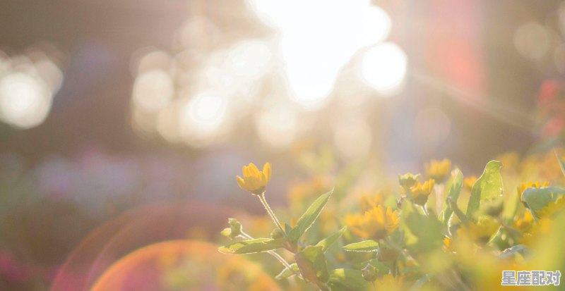 每年8月14过生日是什么星座,4月14日是什么星座 每年8月14过生日是什么星座,4月14日是什么星座 - 星座运势