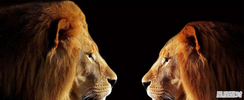 狮子座男人的性格和脾气;狮子座男人的性格  - 星座运势