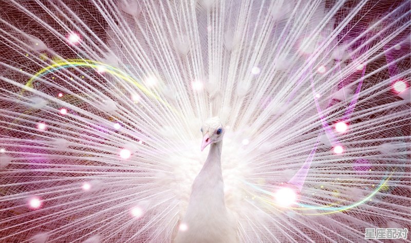 六月份是什么星座,6月的是什么星座 - 星座运势