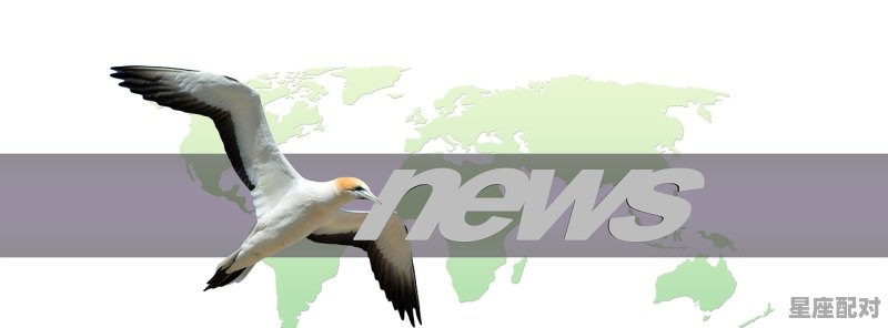 一飞冲天身姿好，什么动物，一飞冲天是什么生肖 - 星座运势