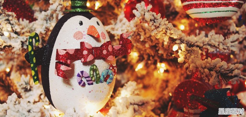 梦到喜欢的人是什么预兆;梦到喜欢的人  - 星座运势