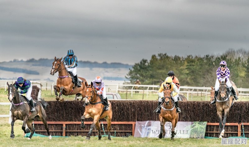 天翻地覆，三從四德打一數，三从四德是什么生肖 - 星座运势