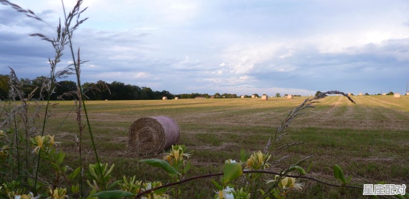 阳春三月家家忙请问是什么生肖,阳春三月指什么生肖 阳春三月家家忙请问是什么生肖,阳春三月指什么生肖 - 星座运势