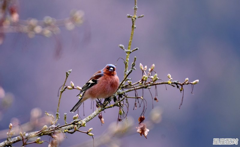 24节气的有关故事，24节气的由来和习俗和故事 - 星座运势