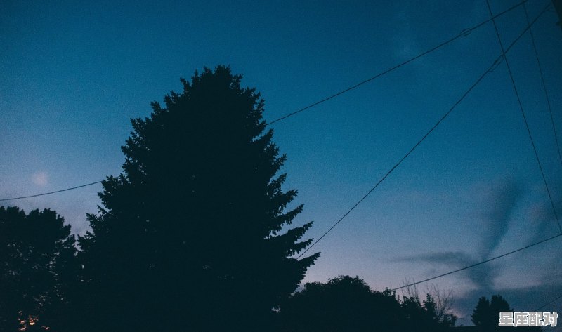 苏州夜间必玩十个景点，金宁什么星座 - 星座运势