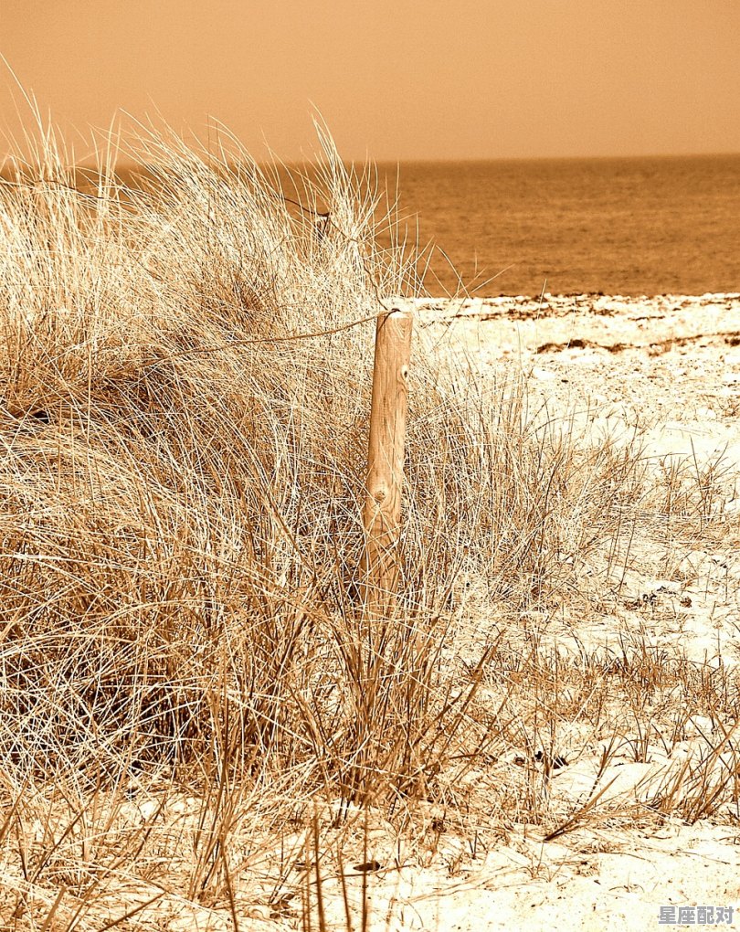 梦到小偷,梦到小偷 梦到小偷,梦到小偷 - 星座运势