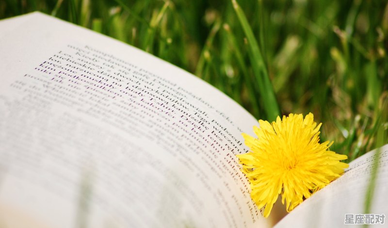 一生常见丧门是什么意思_二辰什么星座 一生常见丧门是什么意思_二辰什么星座 - 星座运势