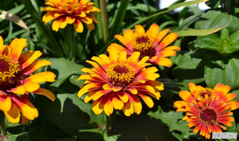 3 月是什么星座,今天什么星座 3 月是什么星座,今天什么星座 - 星座运势