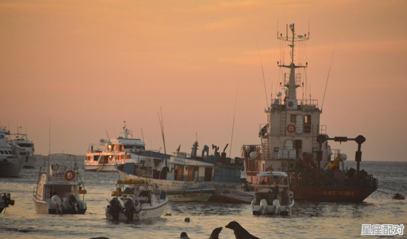 1937到2023多少年_1937年今日运势 - 星座运势