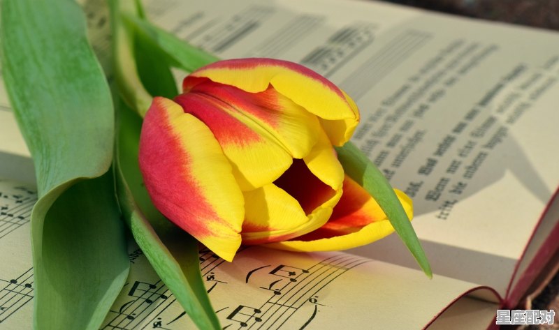 白羊座今天的幸运色是什么,今日综合运势白羊 白羊座今天的幸运色是什么,今日综合运势白羊 - 星座运势