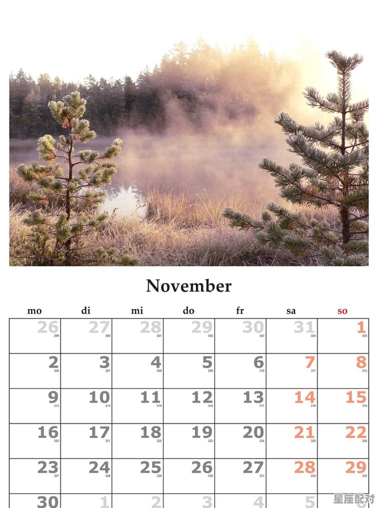 11月多的生日是什么星座,11月的星座是什么星座 - 星座运势