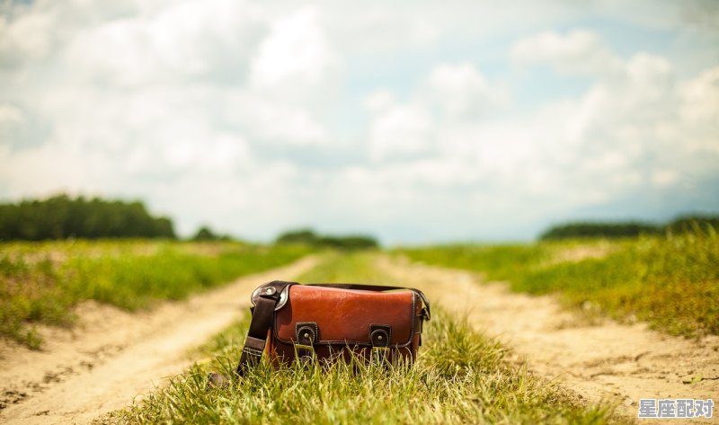 有一首歌的歌词是“空的栅栏,迷路的羊,远离家乡,找梦的希望”,梦到迷路 有一首歌的歌词是“空的栅栏,迷路的羊,远离家乡,找梦的希望”,梦到迷路 - 星座运势