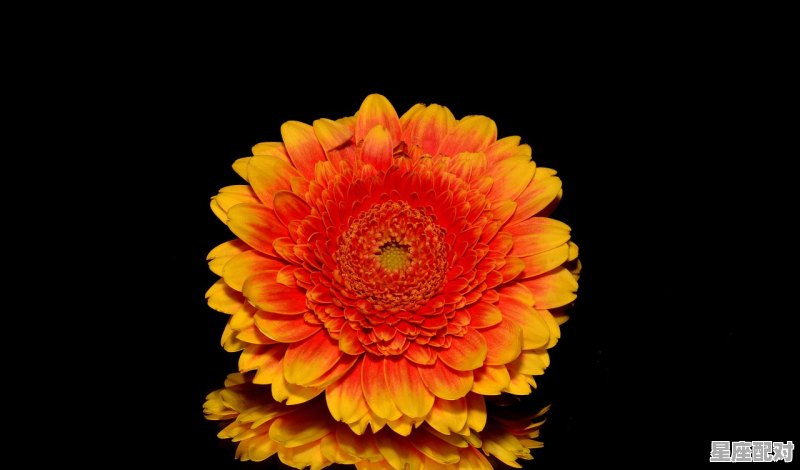 九月份是什么星座,九月份什么星座 - 星座运势