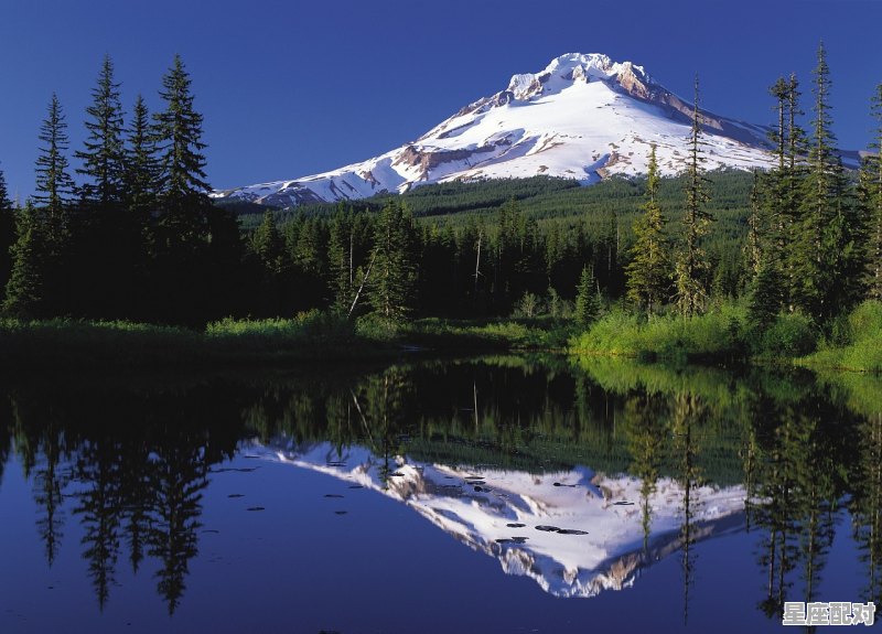 小雁塔是怎么变成13层，赵祯什么星座 - 星座运势