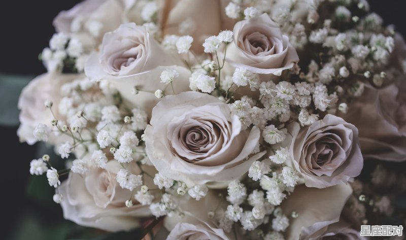 1983年属猪十月份是什么星座，属猪天秤座女生性格 - 星座运势