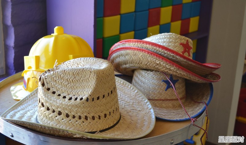 头戴红帽子身披五彩衣是什么动物_21年是什么属相年 - 星座运势