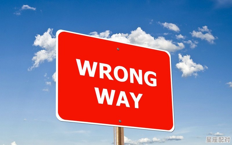 12月9日出生的是什么星座O型血,12月9什么星座 - 星座运势